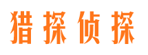 东坡侦探公司